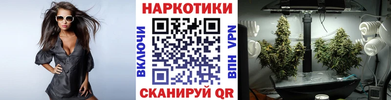 Сколько стоит Курган Альфа ПВП  Cocaine  Меф мяу мяу  МАРИХУАНА  ГАШИШ 