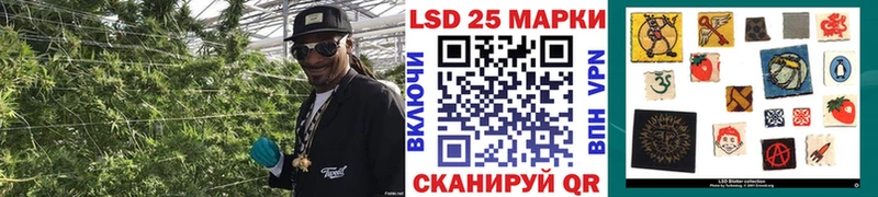 Наркотические марки 1,5мг  shop клад  Курган 