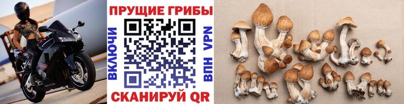 дарнет шоп  Курган  ОМГ ОМГ   Галлюциногенные грибы мухоморы 